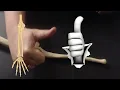 Appendicular Skeleton Skeletal Anatomy Review Practical Exam Guide Limb Bones