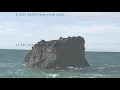 Damon Albarn - Particles (Lyric Video) - Damon Albarn