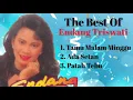 Download Lagu Endang Trisnawati - Tamu Malam Minggu - Patah Tebu - Ada Setan