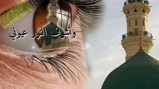 علوا تاخدني ياطير عالمدينة توديني علوا    دندنها