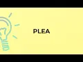 What is the meaning of the word PLEA