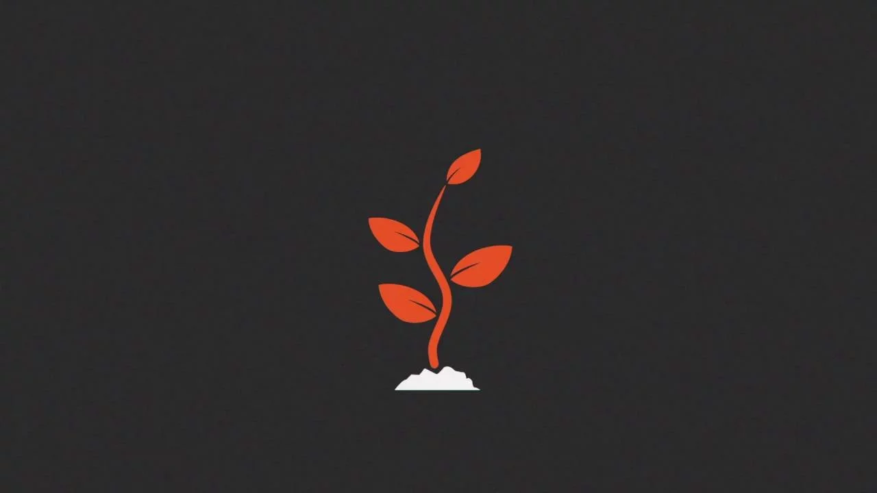 Points Bank Creative Video Product