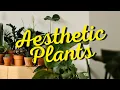 10 Stylish Plants That Will Boost Your MOOD and Home AESTHETIC