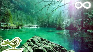 موسيقى مهد ئة للنوم موسيقى للنوم العميق استغرق في النوم أحلام سعيدة للأرق 68 