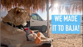 We made it to Baja, crossing the boarder and driving South to Guerro Negro!