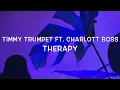 Download Lagu Timmy Trumpet Ft. Charlott Boss - Therapy Lyrics
