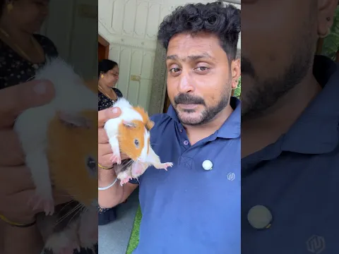 എന്തായാലും അമ്മ വഴക്കു പറഞ്ഞില്ല #shorts