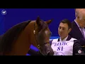 Download Lagu N 81 MAISAH AL HAWAJER   Dubai Arabian Horse Show 2020   Mares 10+ Years Old Class 7