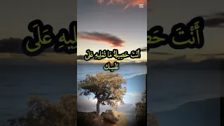 أنت حصيلة ما تمليه على نفسك 