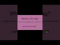 Learn HR tag in HTML A Beginner s Guide Code Arena