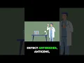 Download Lagu Loopt u risico op parasitaire ziekten? Bekijk dit
