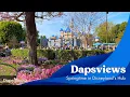 Springtime in the Hub at Disneyland with Music Dapsviews 4K