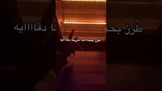 طز شرينا دفايه اكسبلور استوريات اليمن صنعاء عدن السعودية شتاء دفايات Explor البرد Shorts  طز شرينا دفايه اكسبلور استوريات اليمن صنعاء عدن السعودية شتاء دفايات Explor البرد Shorts