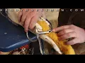 The Best Horse Bits Reasons Behind the Three Piece Soft Touch Bit Design