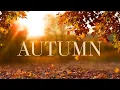 Download Lagu 2 Hours Of Soothing Guitar Music with Autumn Background: Perfect for Relaxation, and Stress Relief