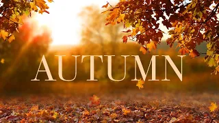 2 Hours Of Soothing Guitar Music With Autumn Background Perfect For Relaxation And Stress Relief 