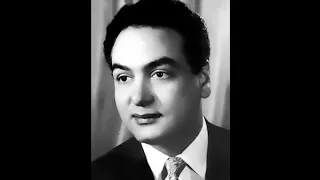 محمد فوزي الزهور 