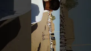 زمراوي حفلة عبد السلام الفريع 