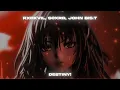 destiny! - RXDXVIL, scxrd & John Bis.T