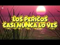 Los Pericos - Casi Nunca Lo Ves (letra) 
