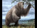 Giant Sloth Sound Effects