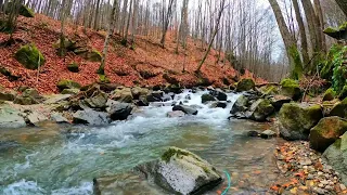 أصوات الطبيعة صوت خرير المياه بدون موسيقى إسترخاء و هدوء و إعادة توازن للنفس 