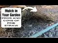 Different Types of Mulch Pros and Cons of Pine Straw in your Garden