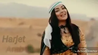 طرب الرقة يوسف الحسين ومعاد الحسان نياران قلبي سعرت تراث الرقة 