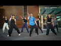 "Fly Girl" - FLO Ft. Missy Elliott | James Deane Choreography
