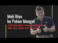MELI BIYU KE PEKEN MENGWI - AGUNG WIRASUTHA, ARR: SILA, VIDEO KLIP: DE OKA'S #lagubaliterbaru