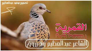 الشاعر عبدالعظيم ود زروق 