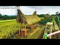 Download Lagu INSTRUMEN MUSIK BANSI || MINANG(no copyright)