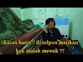 Download Lagu DI TELPON MAJIKAN MALAH MEWEK ‼️ 