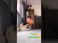 Download Lagu Anjali, 😊a Anjali || funny dog reaction 😆#shorts #viral #funny #viralshorts