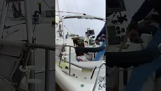 Galveston Bay in February #shorts