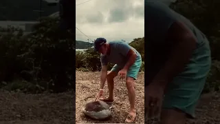 A Stone in Remote Japan that Explains How To Age Well