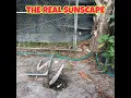 Sunscape Inc Nursery St Petersburg Fl Steve Smith