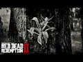 RED DEAD REDEMPTION 2 - Spider Orchid Location