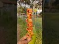 Spicy Raw Mango Masala Traditional Mango