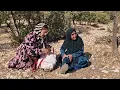 The rescue of Master Ali’s mother by a runaway bride
