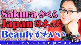【Japan】Beauty Japan Sakura in Tokyo Chidorigafuchi Edo Park 桜の名所　千鳥ヶ淵緑道