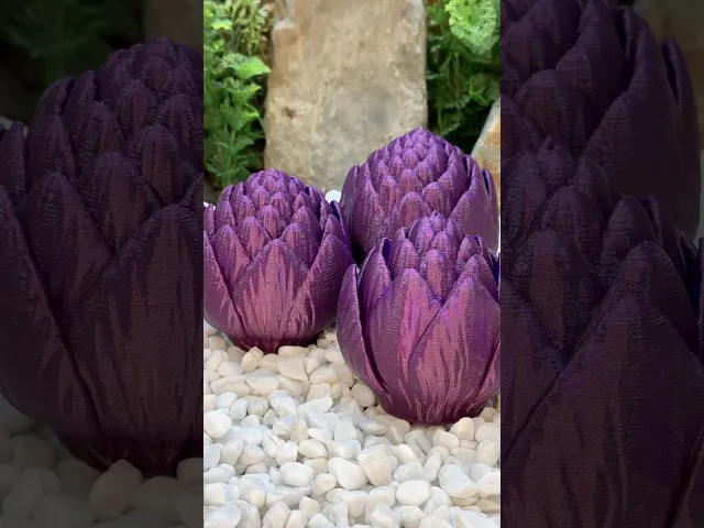 Artichokes video thumbnail