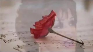 وردة الجزائرية سفر HD 