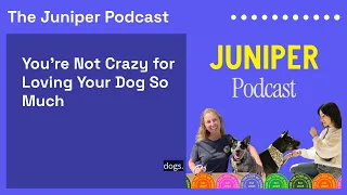 You re Not Crazy for Loving Your Dog So Much The Juniper Podcast