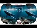Download Lagu 3D VR VIDEOS 526 4K