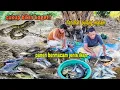 Download Lagu CUKUP BIKIN KAGET || HABIS PENEN IKAN, KETEMU SI CANTIK TEBAR PESONA DI TENGAH JALAN