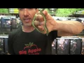 Baron s Racers For Sale Buy at Big Apple Pet with Same Day Shipping