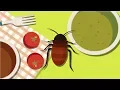 How do insecticides kill cockroaches