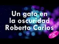 Un gato en la oscuridad - Roberto Carlos+letra