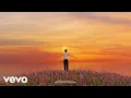 BUNT The Temper Trap - What If You Fly Sweet Disposition
